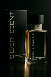 Perfume Masculino Silver Scent